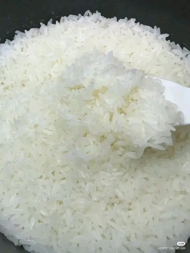 Rice plain